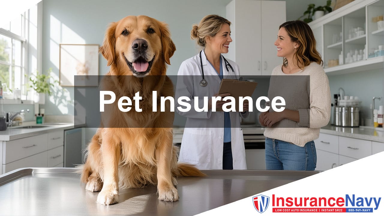 Pet Insurance