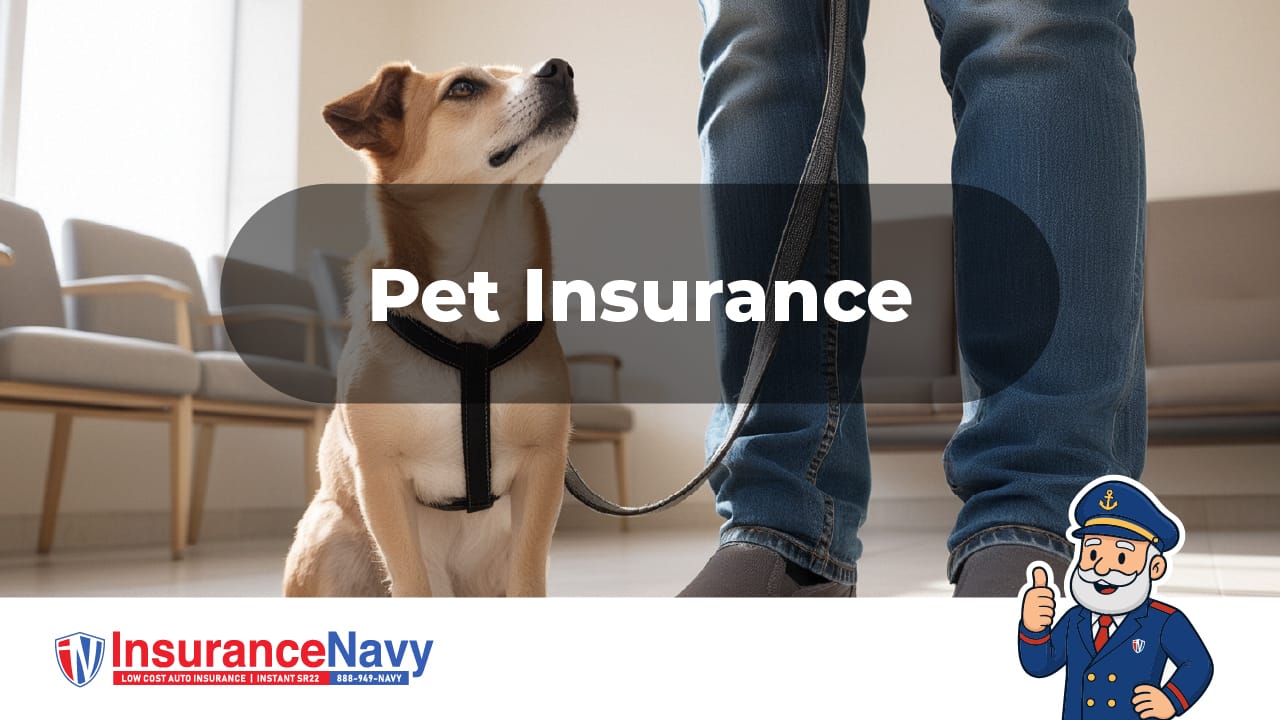 Pet Insurance