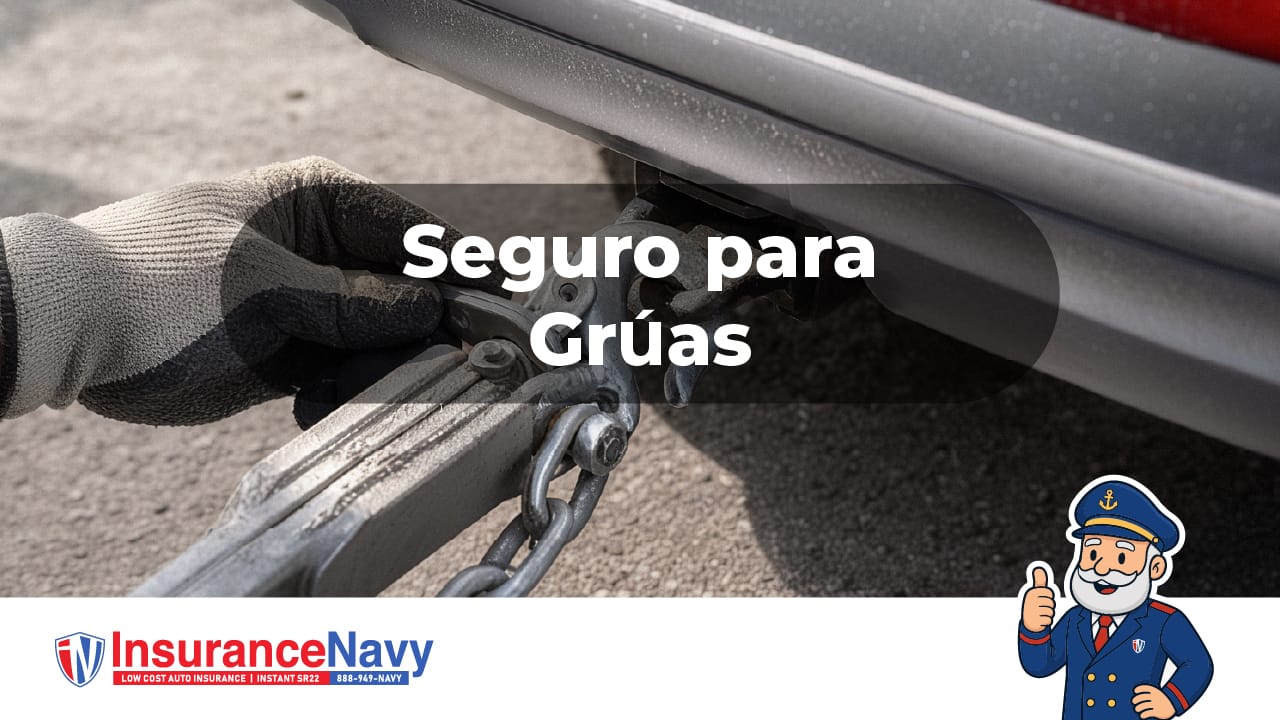 seguro para grúas