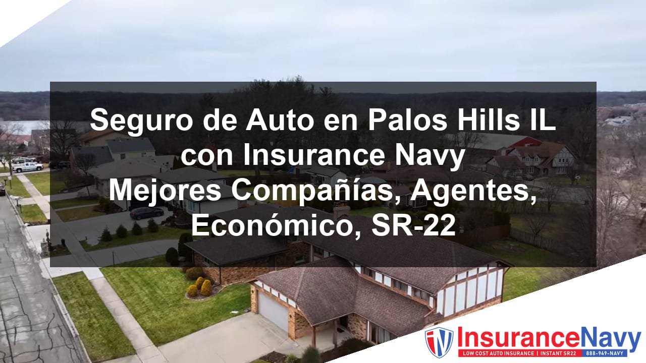 Seguro de auto en Palos Hills IL