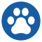 Pet Insurance