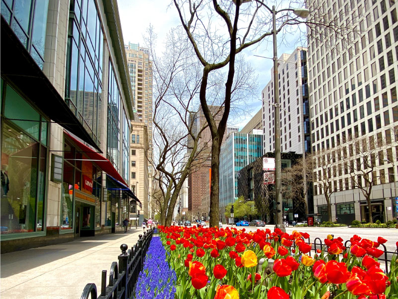 Things to Do In Chicago (Ultimate Guide 2021) Insurance Navy